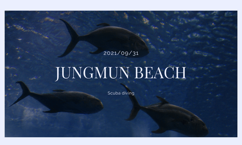 2021 09 Scuba diving